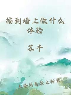 按到墙上做什么体验