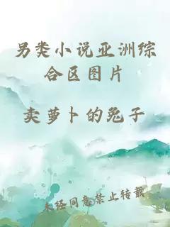 另类小说亚洲综合区图片